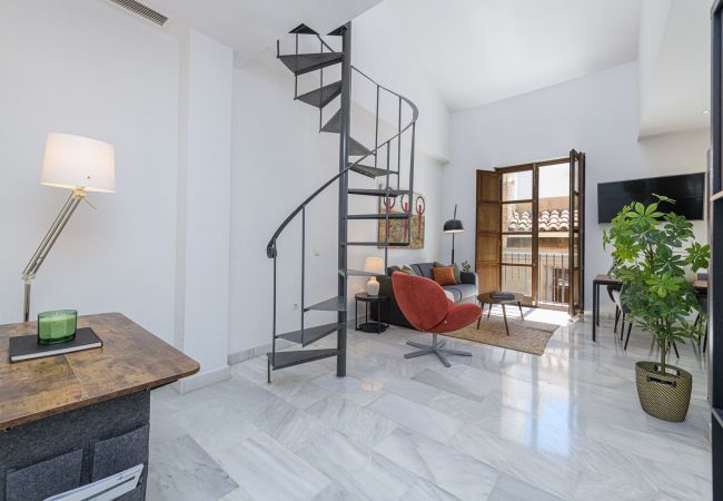 Apartamento en Málaga - Pozos Dulces - Apartamento turistico Málaga Centro Apartamento en Málaga - Pozos Dulces - Apartamento turistico Málaga Centro