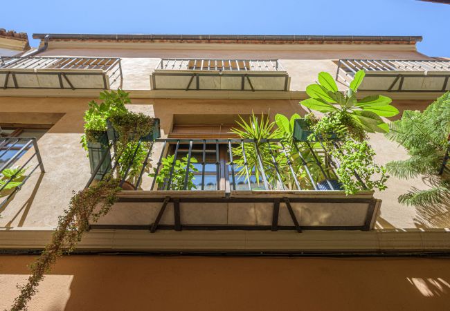 Apartamento en Málaga - Pozos Dulces - Apartamento turistico Málaga Centro Apartamento en Málaga - Pozos Dulces - Apartamento turistico Málaga Centro