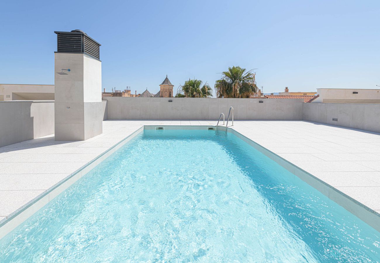 Apartamento en Málaga - Alta - Piso vacacional Málaga centro Apartamento en Málaga - Alta - Piso vacacional Málaga centro